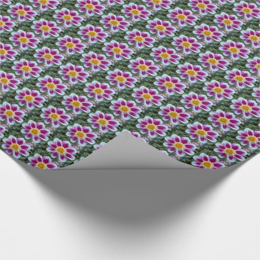 Roze en witte single Dahlia Floral Cadeaupapier (Hoek)