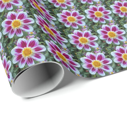 Roze en witte single Dahlia Floral Cadeaupapier (Rol Hoek)