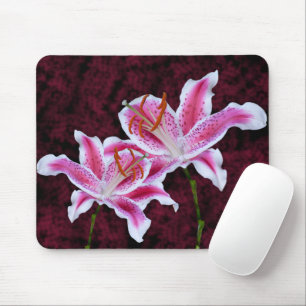 Roze en witte Stargazer Lily Sluiten Foto Muismat