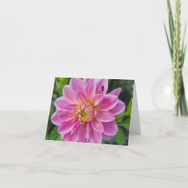 Roze en witte tuin Dahlia Feestdagen Kaart