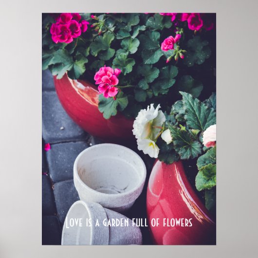 Roze en witte tuin-geranium bloemen poster (Voorkant)