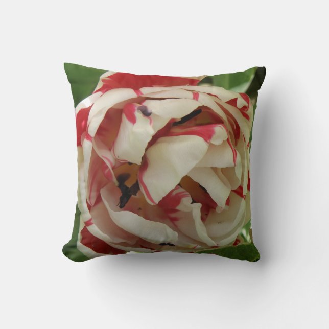 Roze en witte Tulip Pillow Kussen (Voorkant)