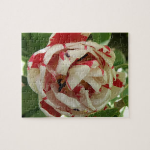 Roze en witte Tulip Puzzle Legpuzzel