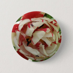 Roze en witte Tulp Button