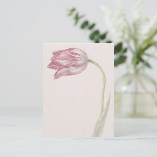 Roze en witte Tulp -  fijne kunst Briefkaart (Staand voorkant)