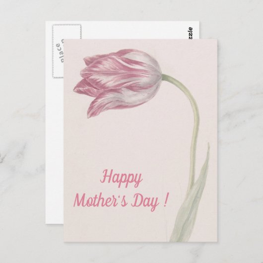 Roze en witte Tulp - Fine Art Moederdag Briefkaart (Voorkant / Achterkant)