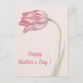 Roze en witte Tulp - Fine Art Moederdag Briefkaart (Voorkant)