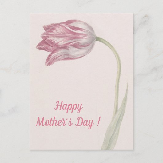 Roze en witte Tulp - Fine Art Moederdag Briefkaart (Voorkant)