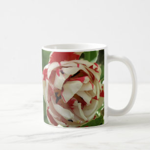 Roze en witte Tulp Mok