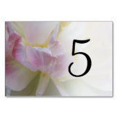 Roze en witte Tulpbloknummers Kaart (Achterkant)