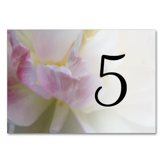 Roze en witte Tulpbloknummers Kaart (Achterkant)