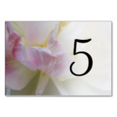 Roze en witte Tulpbloknummers Kaart (Voorkant)