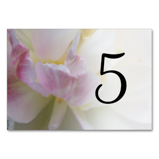 Roze en witte Tulpbloknummers Kaart (Voorkant)