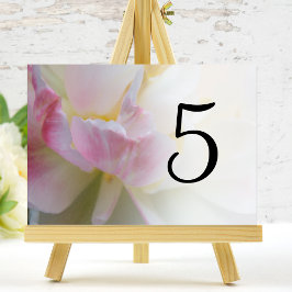 Roze en witte Tulpbloknummers Kaart