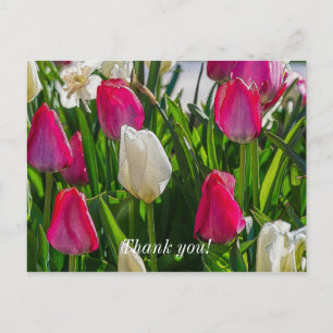 Roze en Witte Tulpen Schilderachtige Dank Je Wel Briefkaart