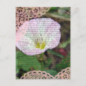 Roze en witte vellen BindWeed Briefkaart (Voorkant)