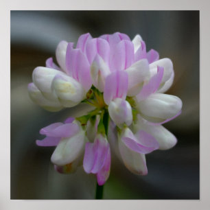 Roze en witte ventilator sluiten dicht poster