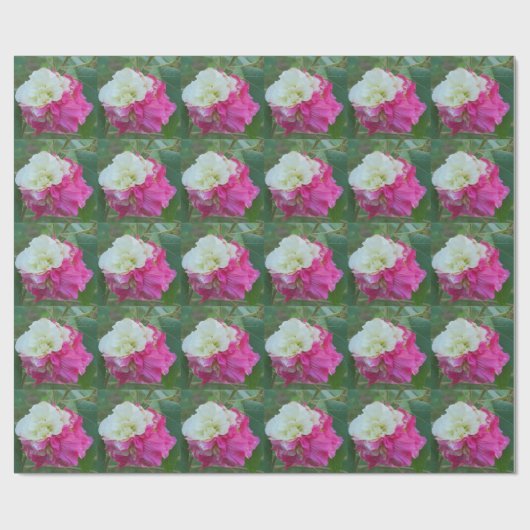roze en witte verwisselbare hibiscus bloom cadeaupapier (Vlak)