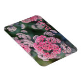 Roze en witte vlinder Stonecup Flowers Magneet (Rechterzijde)