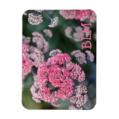Roze en witte vlinder Stonecup Flowers Magneet (Verticaal)