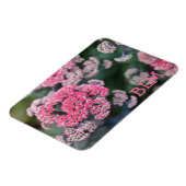 Roze en witte vlinder Stonecup Flowers Magneet (Linkerzijde)