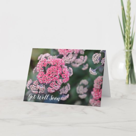 Roze en witte vlinder Stonecup Snel goed Kaart (Voorkant)