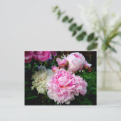 Roze en witte volken briefkaart (Staand voorkant)