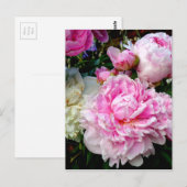 Roze en witte volken briefkaart (Voorkant / Achterkant)