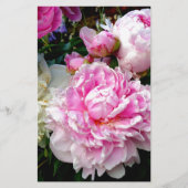 Roze en witte volken briefpapier (Voorkant)