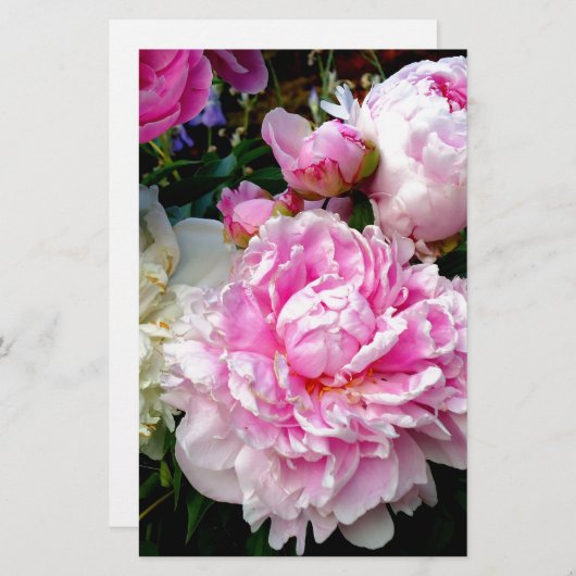 Roze en witte volken briefpapier (Voorkant / Achterkant)