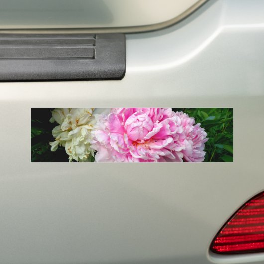 Roze en witte volken bumpersticker (Op auto)