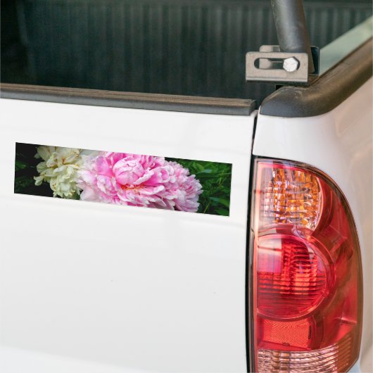 Roze en witte volken bumpersticker (Op Truck)