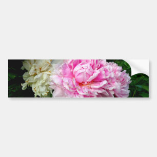 Roze en witte volken bumpersticker