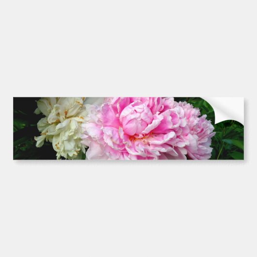 Roze en witte volken bumpersticker (Voorkant)
