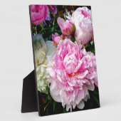 Roze en witte volken fotoplaat (Zijkant)