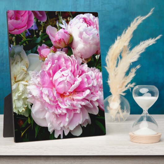 Roze en witte volken fotoplaat (Zijkant)