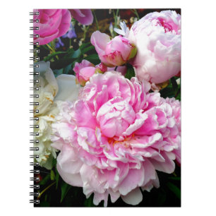 Roze en witte volken notitieboek