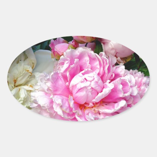 Roze en witte volken ovale sticker (Voorkant)