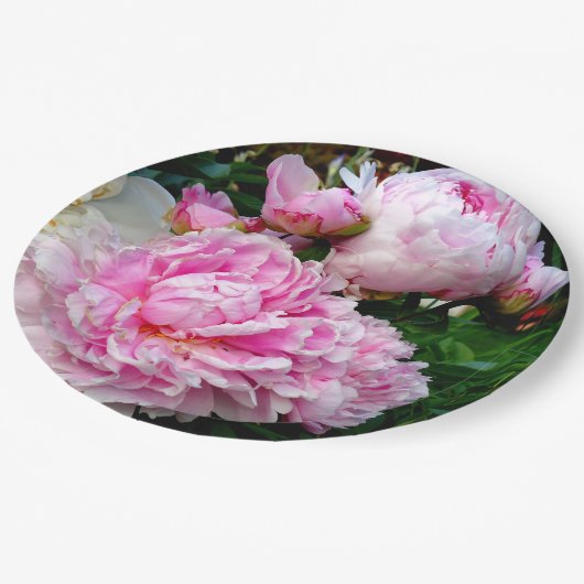 Roze en witte volken papieren bordje (Gekanteld)