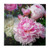 Roze en witte volken tegeltje (Voorkant)