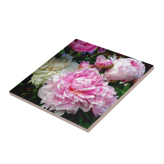 Roze en witte volken tegeltje (Zijkant)