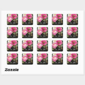 Roze en witte Waterverf pioenroos bloemenbruiloft Vierkante Sticker (Vel)