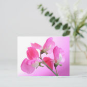 Roze en zoete erwt - voorjaarsgeur - briefkaart (Staand voorkant)