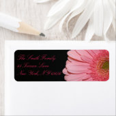 Roze en Zwart Gerber Daisy Retouradres Labels (Insitu)