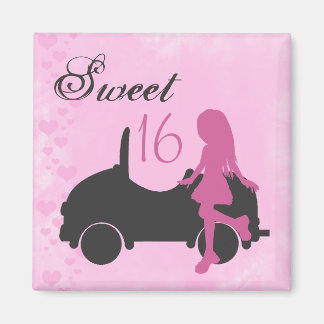 Roze en Zwart Sweet 16 Silhouet Magneet