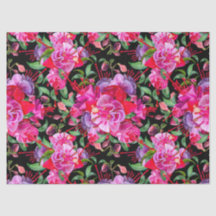 Roze en zwarte Waterverf Fuchsia bloeit