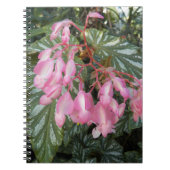 Roze Engelenvleugel Begonia Bloem Notitieboek (Voorkant)