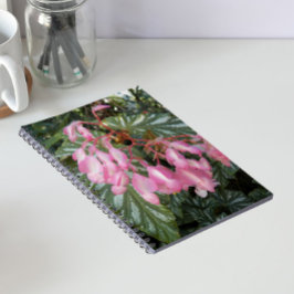 Roze Engelenvleugel Begonia Bloem Notitieboek