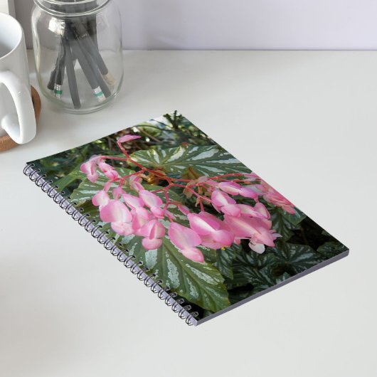 Roze Engelenvleugel Begonia Bloem Notitieboek