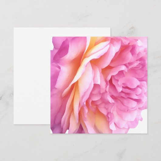 Roze Engelse Roos Bloem Bloemblaadjes Blank Feestdagenkaart (Voorkant / Achterkant)